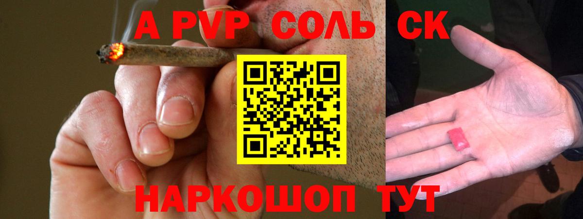 A PVP СК КРИС Сунжа