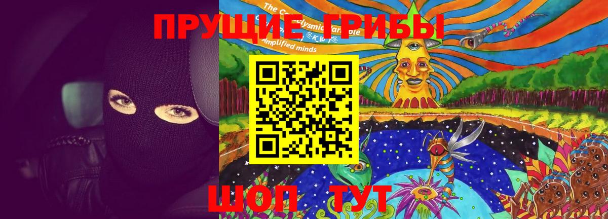 где купить наркоту  Галлюциногенные грибы Cubensis  Сунжа  Вход с VPN  Псилоцибиновые грибы мухоморы 
